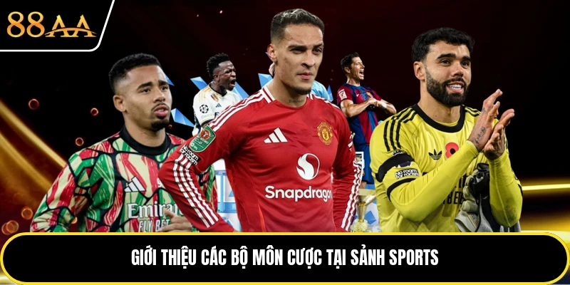 Giới thiệu các bộ môn cược tại sảnh sports